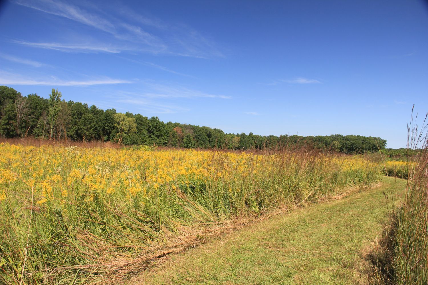 Calumet River Trail Hike 